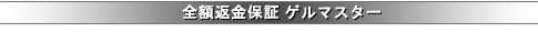 �S�z�ԋ��ۏ� �Q���}�X�^�[