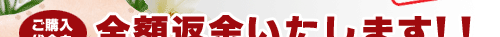 �S�z�ԋ��ۏ؃L�����y�[��