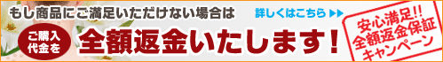 全額返金保証キャンペーン